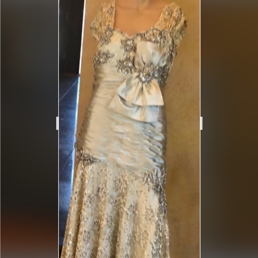 Elegant White and Silver Gown